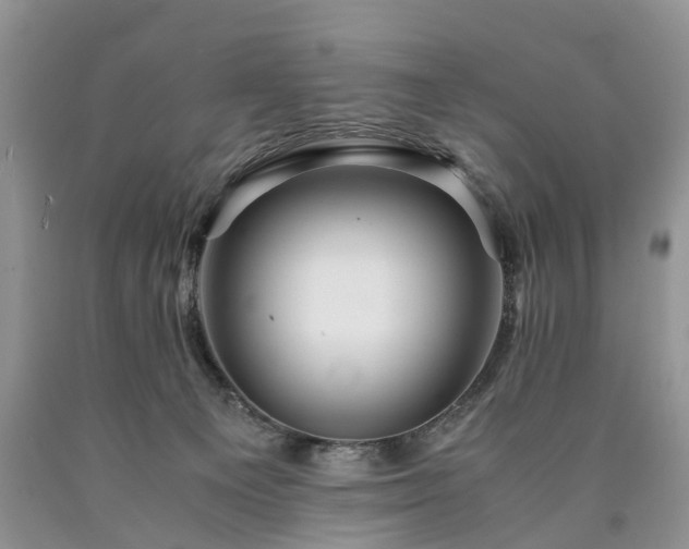 X0000090470129200707201402