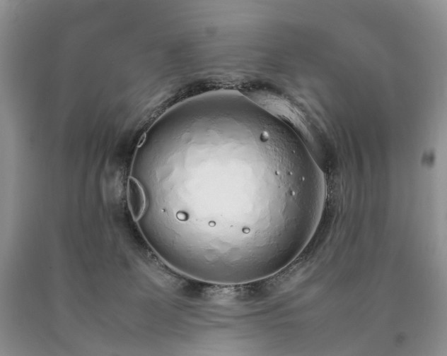 X0000090470131200707201402