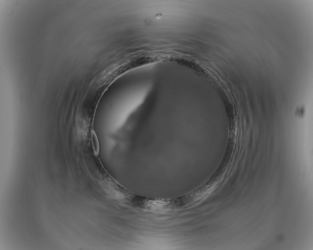 X0000090470139200707201402