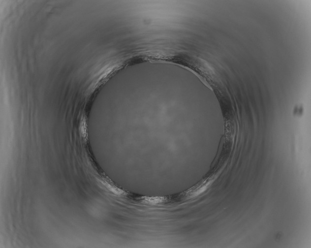 X0000090470143200707201402