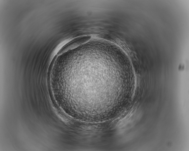 X0000090470147200707201401