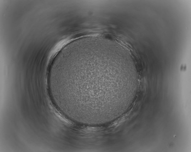 X0000090470149200707201401