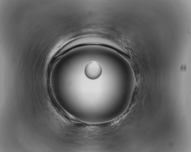X0000090470150200707201401