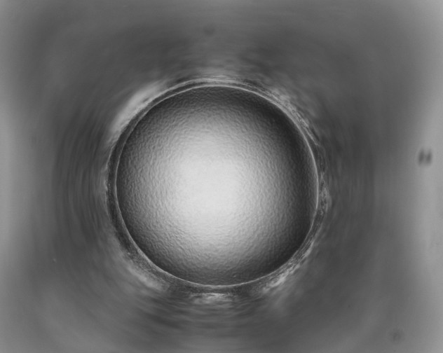 X0000090470151200707201402