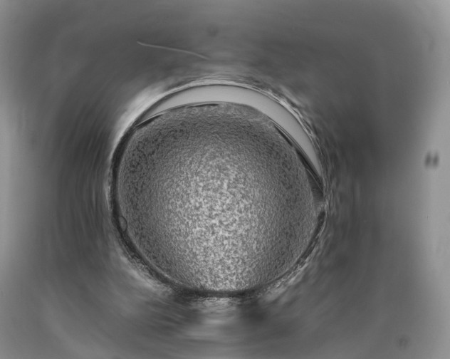 X0000090470152200707201402