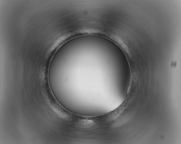 X0000090470159200707201402