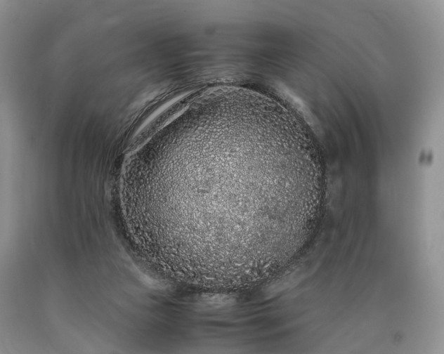 X0000090470161200707201402