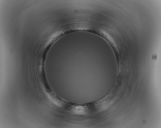 X0000090470163200707201402