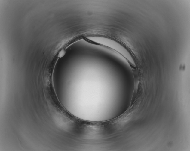 X0000090470164200707201402