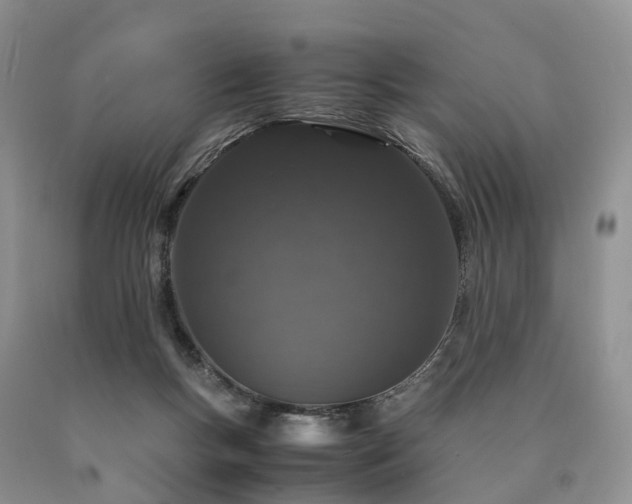 X0000090470167200707201402