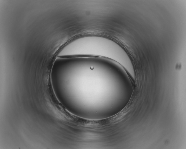 X0000090470168200707201402