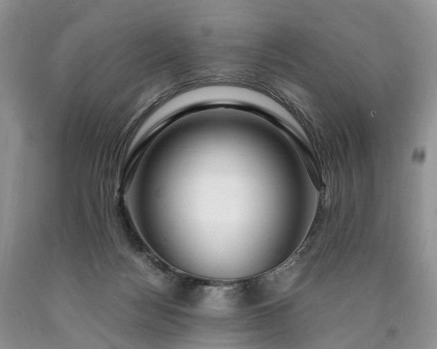 X0000090470172200707201402