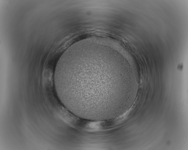 X0000090470178200707201402