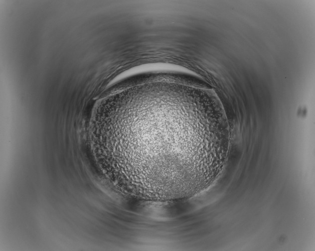 X0000090470182200707201402