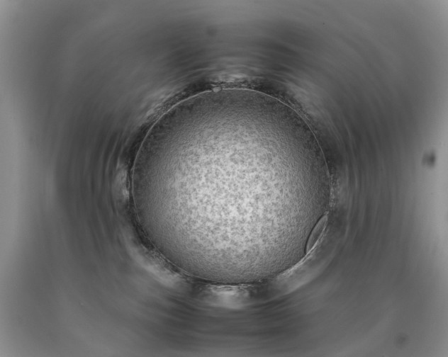 X0000090470187200707201402