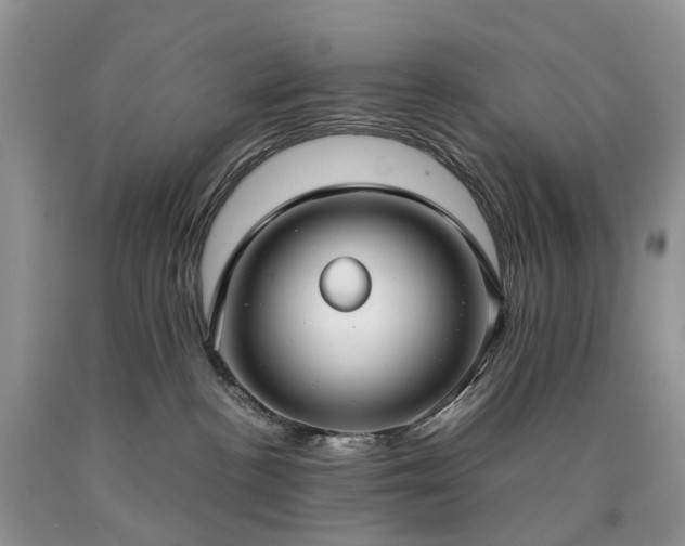 X0000090470188200707201402