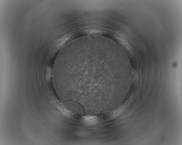 X0000090470189200707201402