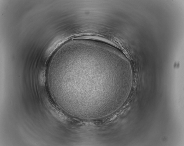 X0000090470194200707201401