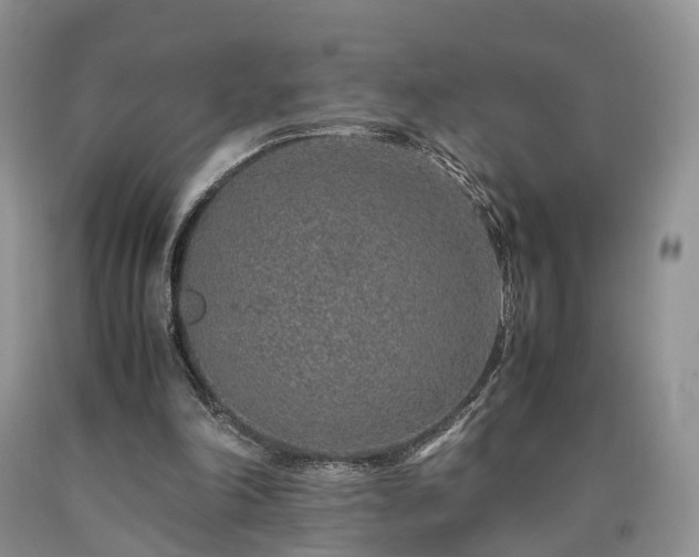 X0000090470198200707201401