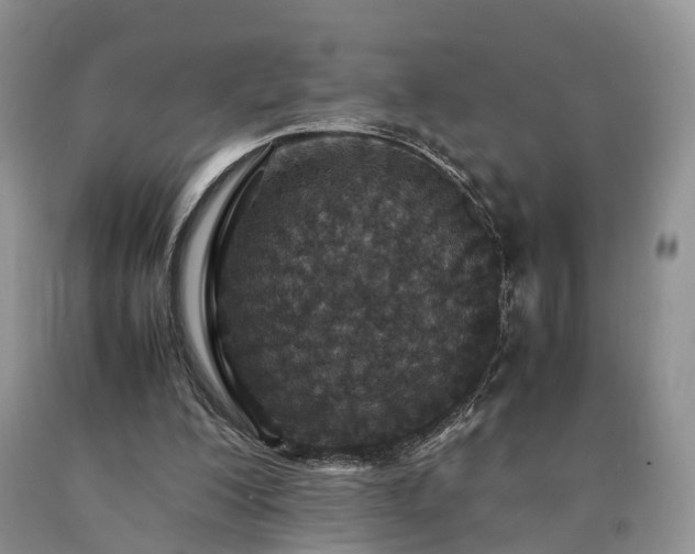 X0000090470200200707201401