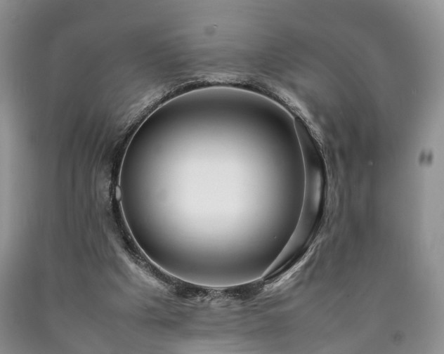 X0000090470201200707201401