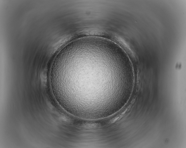 X0000090470202200707201401