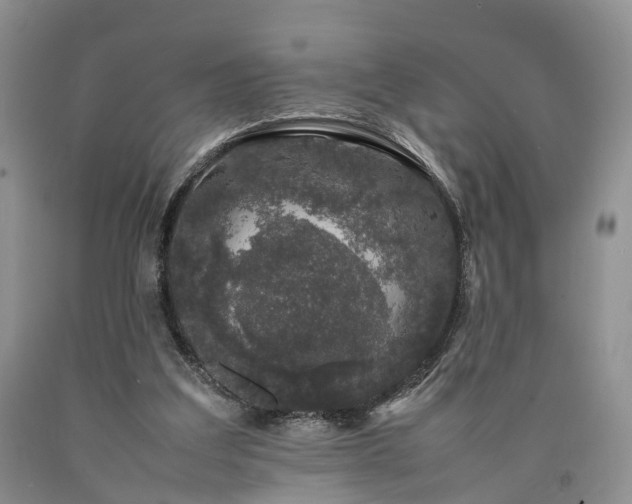 X0000090470203200707201401