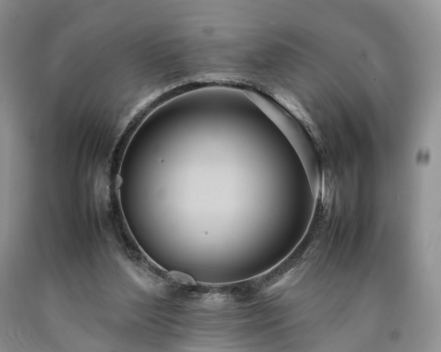 X0000090470204200707201401