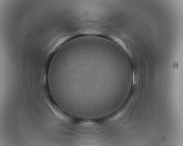 X0000090470205200707201401