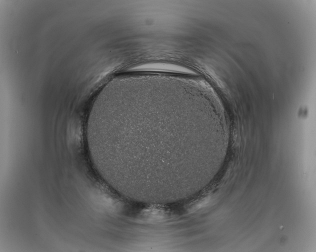 X0000090470211200707201401