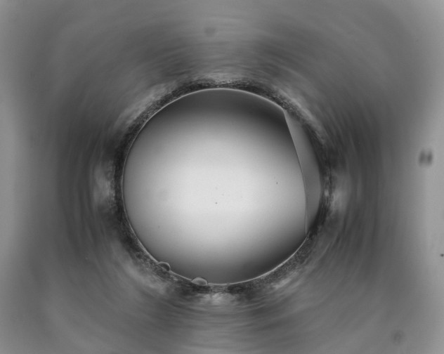 X0000090470212200707201401