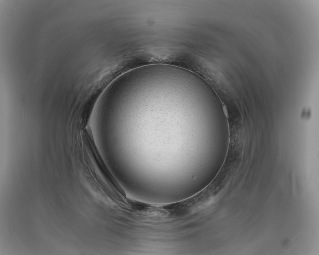 X0000090470215200707201401