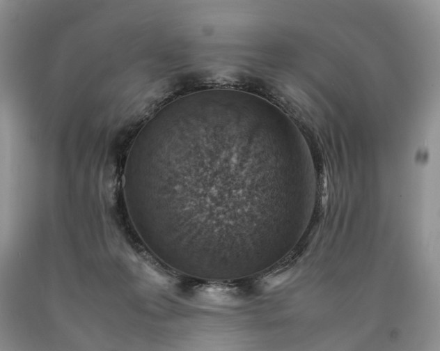 X0000090470223200707201401