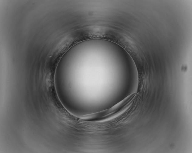 X0000090470224200707201401