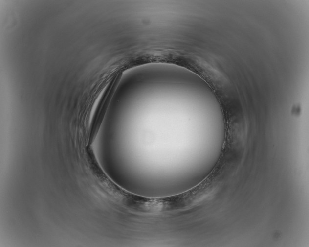 X0000090470225200707201401