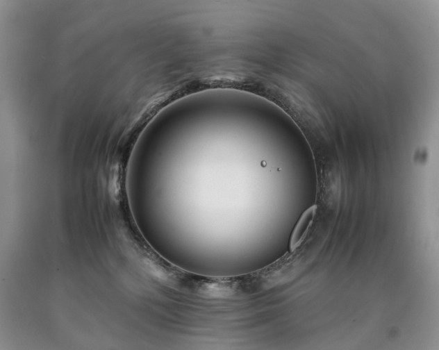 X0000090470232200707201401