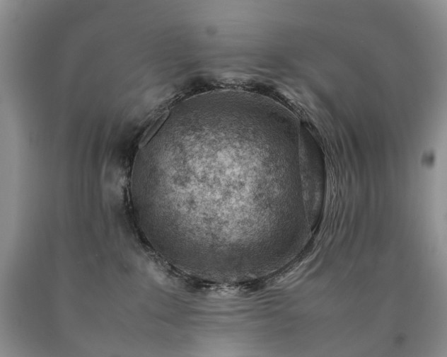 X0000090470235200707201401