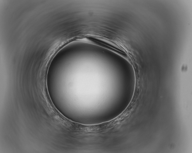 X0000090470241200707201400