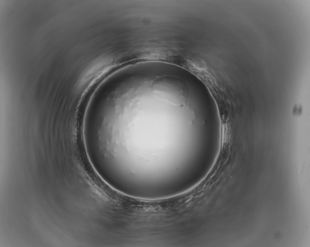 X0000090470243200707201400