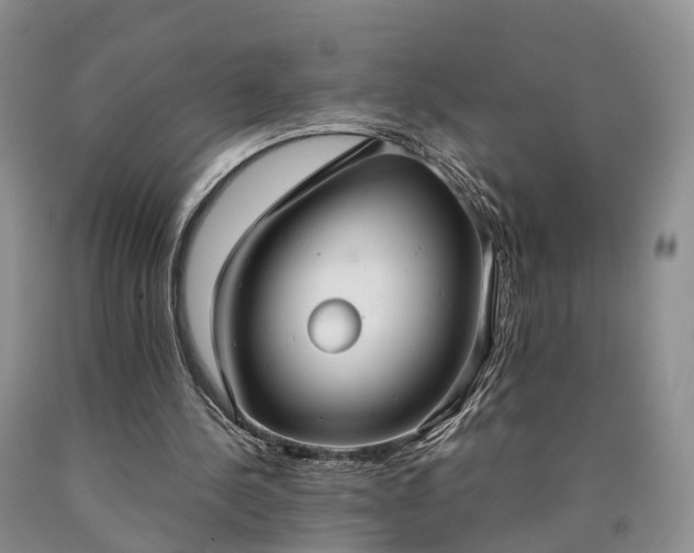 X0000090470244200707201400