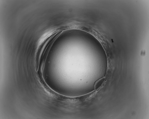 X0000090470245200707201400