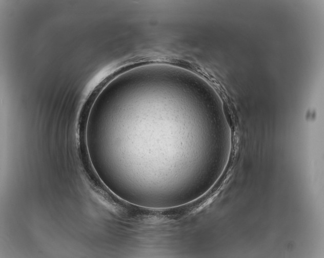 X0000090470246200707201400
