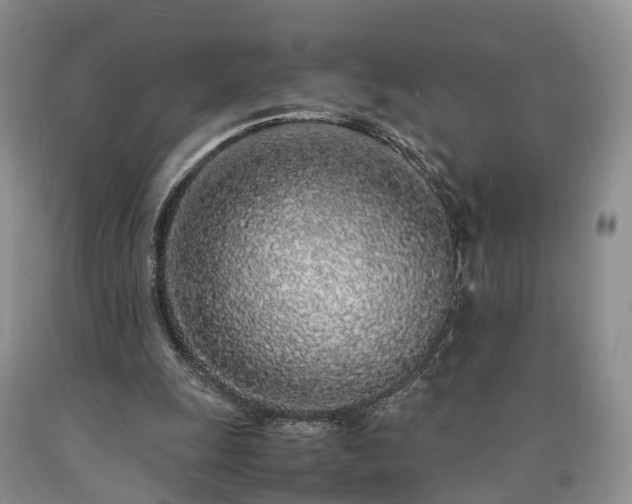 X0000090470247200707201400