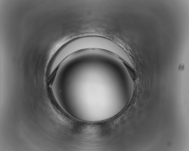 X0000090470248200707201400