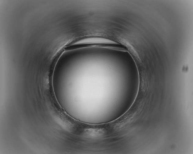 X0000090470251200707201400
