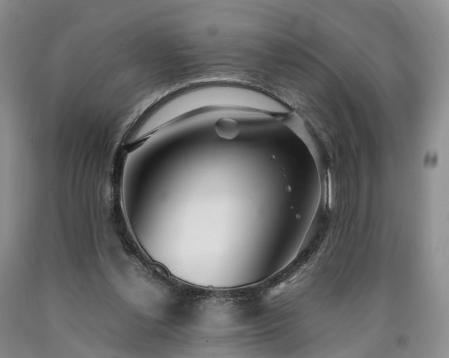X0000090470252200707201400