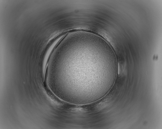 X0000090470253200707201400