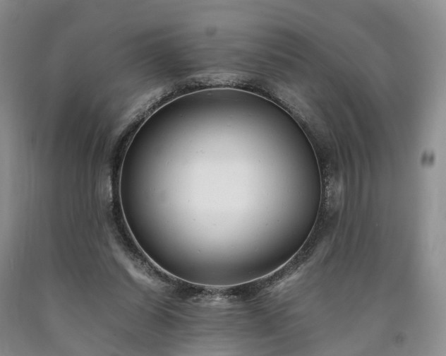 X0000090470254200707201400