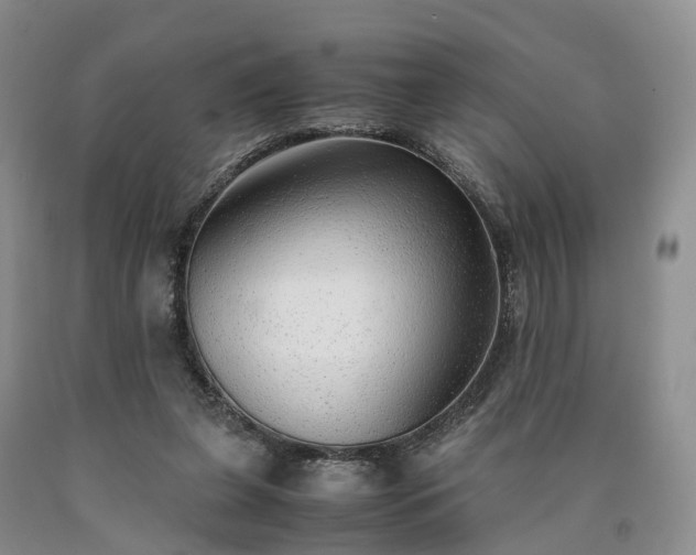 X0000090470255200707201400