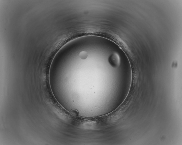 X0000090470257200707201400